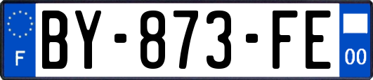 BY-873-FE