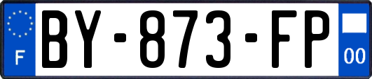 BY-873-FP