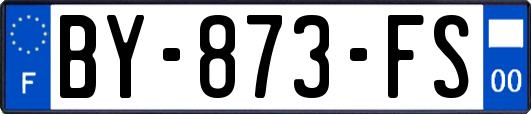BY-873-FS