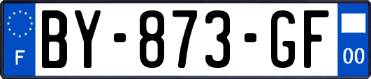 BY-873-GF