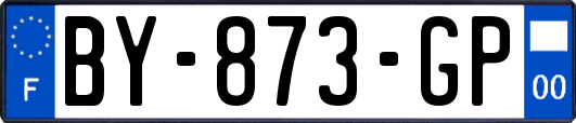 BY-873-GP