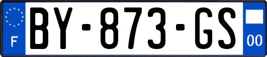 BY-873-GS