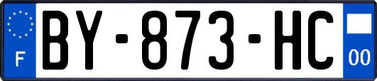 BY-873-HC