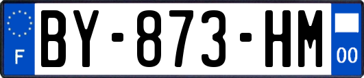 BY-873-HM