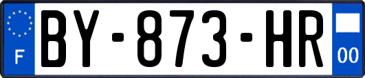 BY-873-HR