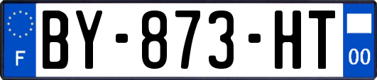 BY-873-HT