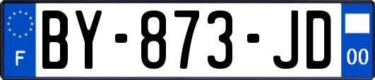 BY-873-JD