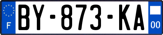 BY-873-KA