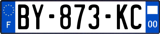 BY-873-KC