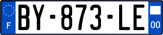 BY-873-LE
