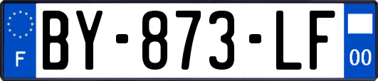 BY-873-LF