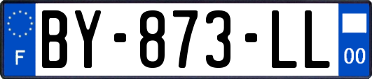 BY-873-LL