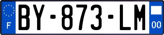 BY-873-LM
