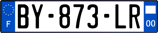 BY-873-LR