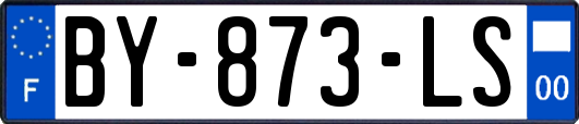 BY-873-LS