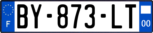 BY-873-LT
