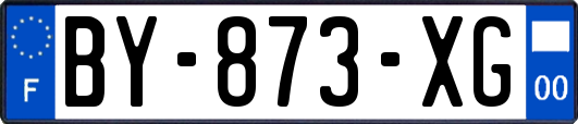 BY-873-XG