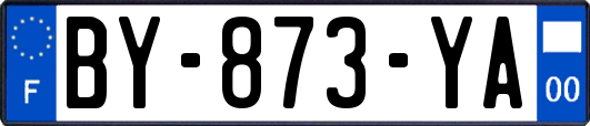 BY-873-YA