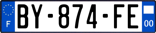 BY-874-FE