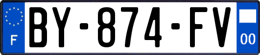 BY-874-FV