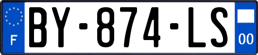 BY-874-LS