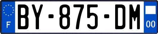 BY-875-DM
