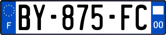 BY-875-FC