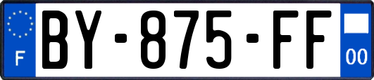 BY-875-FF