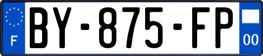 BY-875-FP