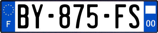 BY-875-FS