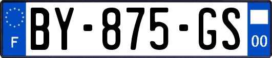 BY-875-GS