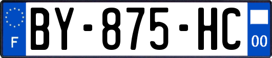 BY-875-HC