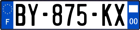 BY-875-KX