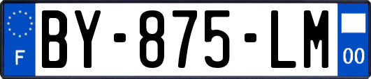 BY-875-LM