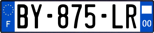 BY-875-LR