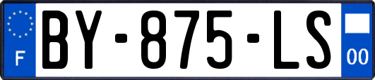 BY-875-LS