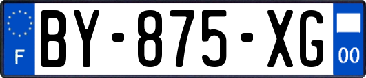BY-875-XG