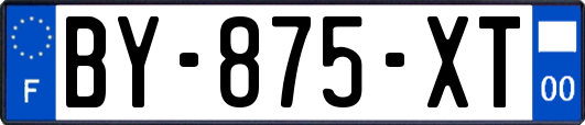 BY-875-XT
