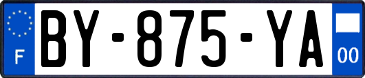 BY-875-YA
