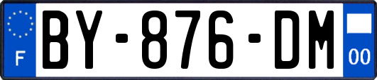 BY-876-DM
