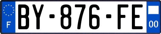 BY-876-FE