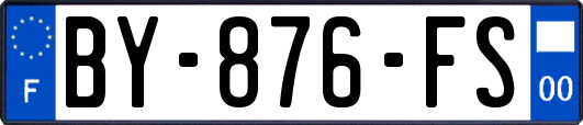 BY-876-FS