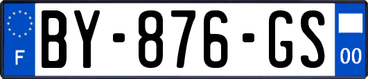 BY-876-GS