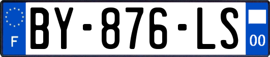 BY-876-LS