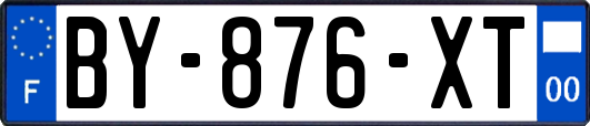 BY-876-XT