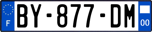 BY-877-DM