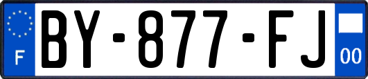 BY-877-FJ