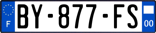 BY-877-FS