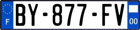 BY-877-FV