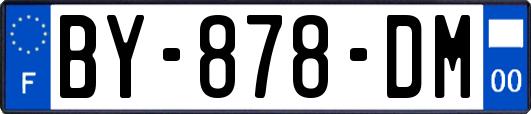 BY-878-DM